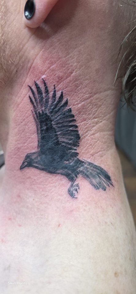 Fliegender Rabe in Schwarz am Nacken
