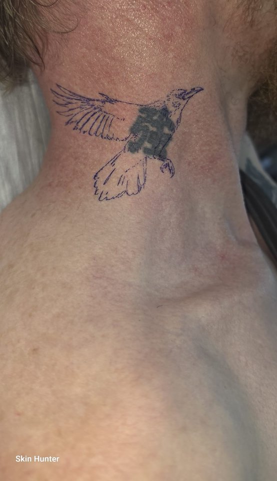 Kleiner Vogel in Schwarz am Nacken