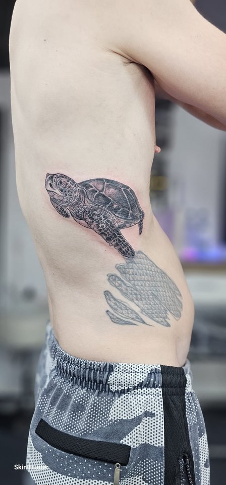 Schildkröte mit gepunkteter Fläche an den Rippen